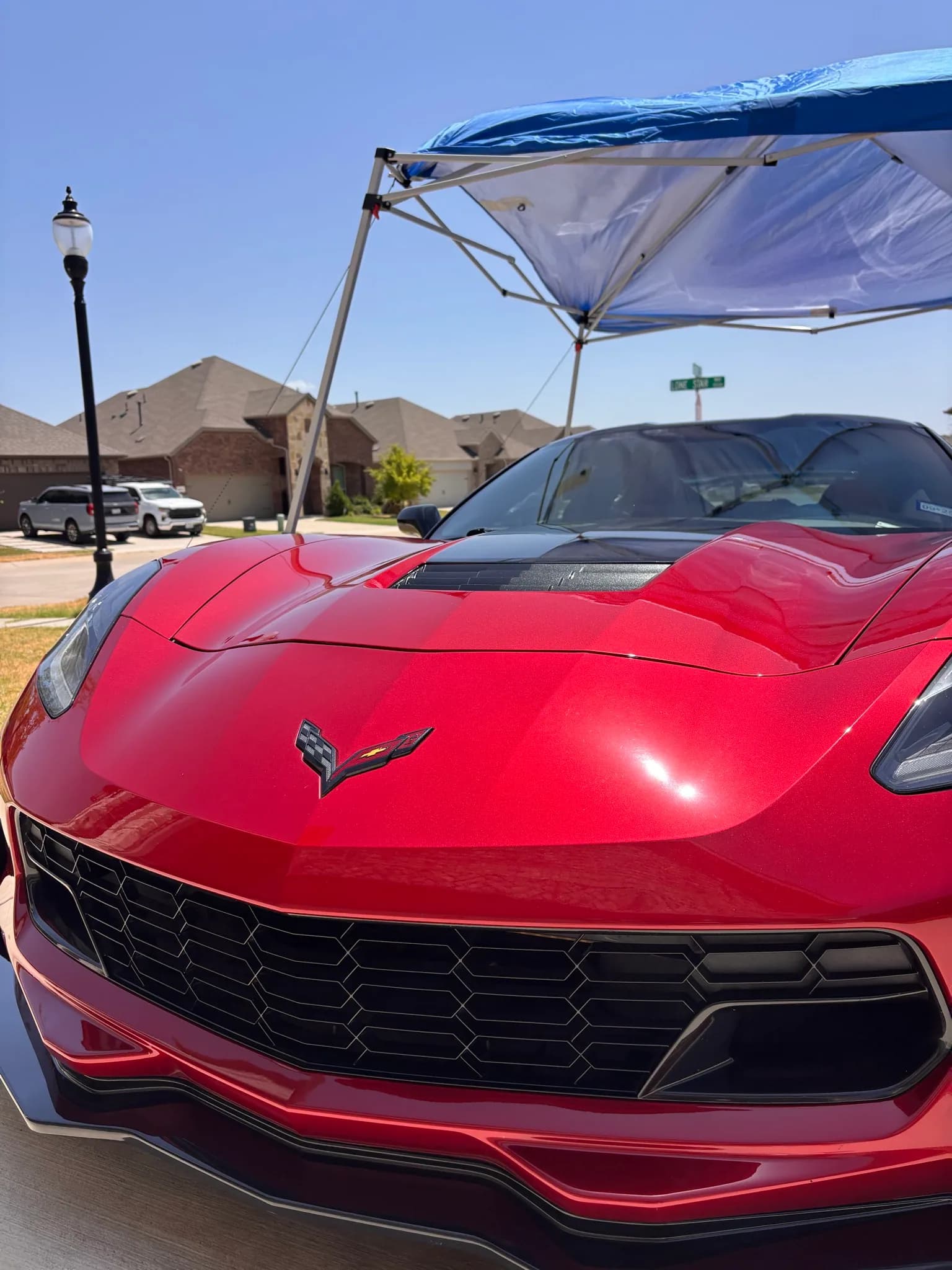Corvette crossed-flags emblem on a freshly polished red hood.