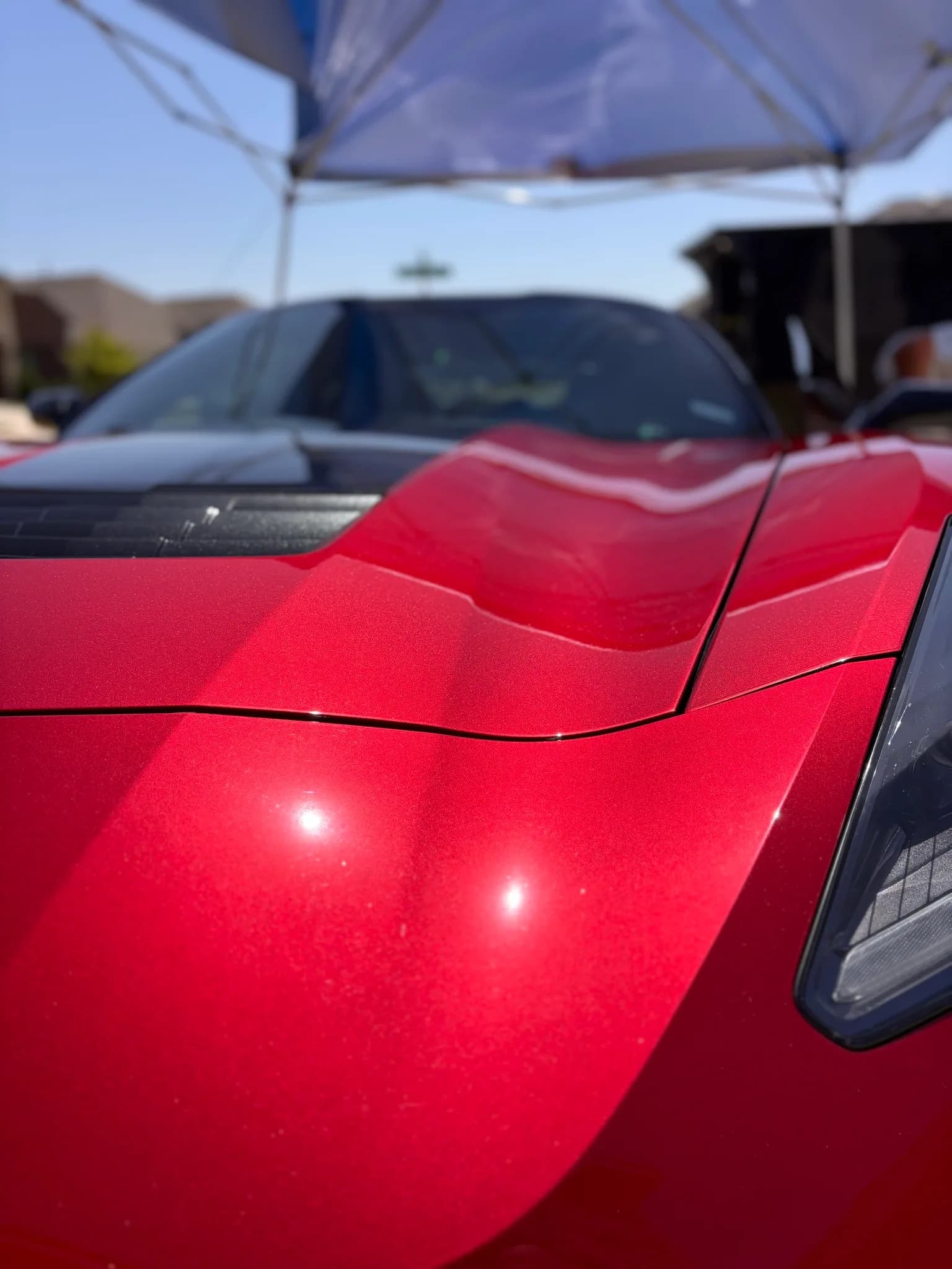 Reflective red hood of a Chevrolet Corvette photographed from the front fender.